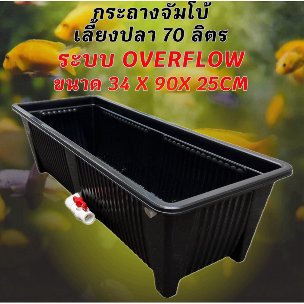 กระถางเลี้ยงปลาไซซ์จัมโบ้สีดำ วาวล์ขาว ระบบoverflow ขนาด34x90x25CM กะบะเลี้ยงปลา อ่างเลี้ยงปลา อ่างเลี้ยงปลาเมกาดะ