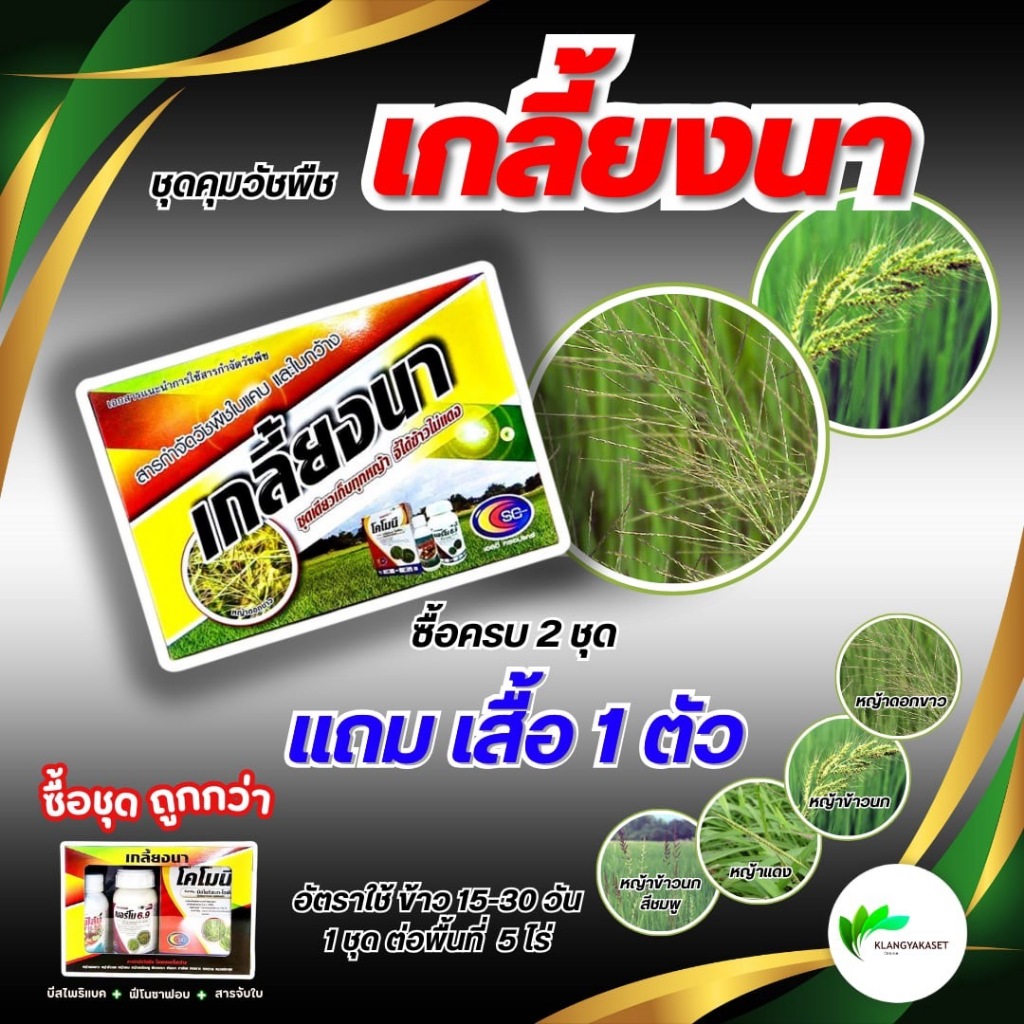 เกลี้ยงนา  เล็ก 1 ชุด5 ไร่ #เกลี้ยงนา101กำจัดหญ้าแดง ดอกขาว กระดูกไก่ กำจัดหญ้าใบแคบ ใบกว้าง