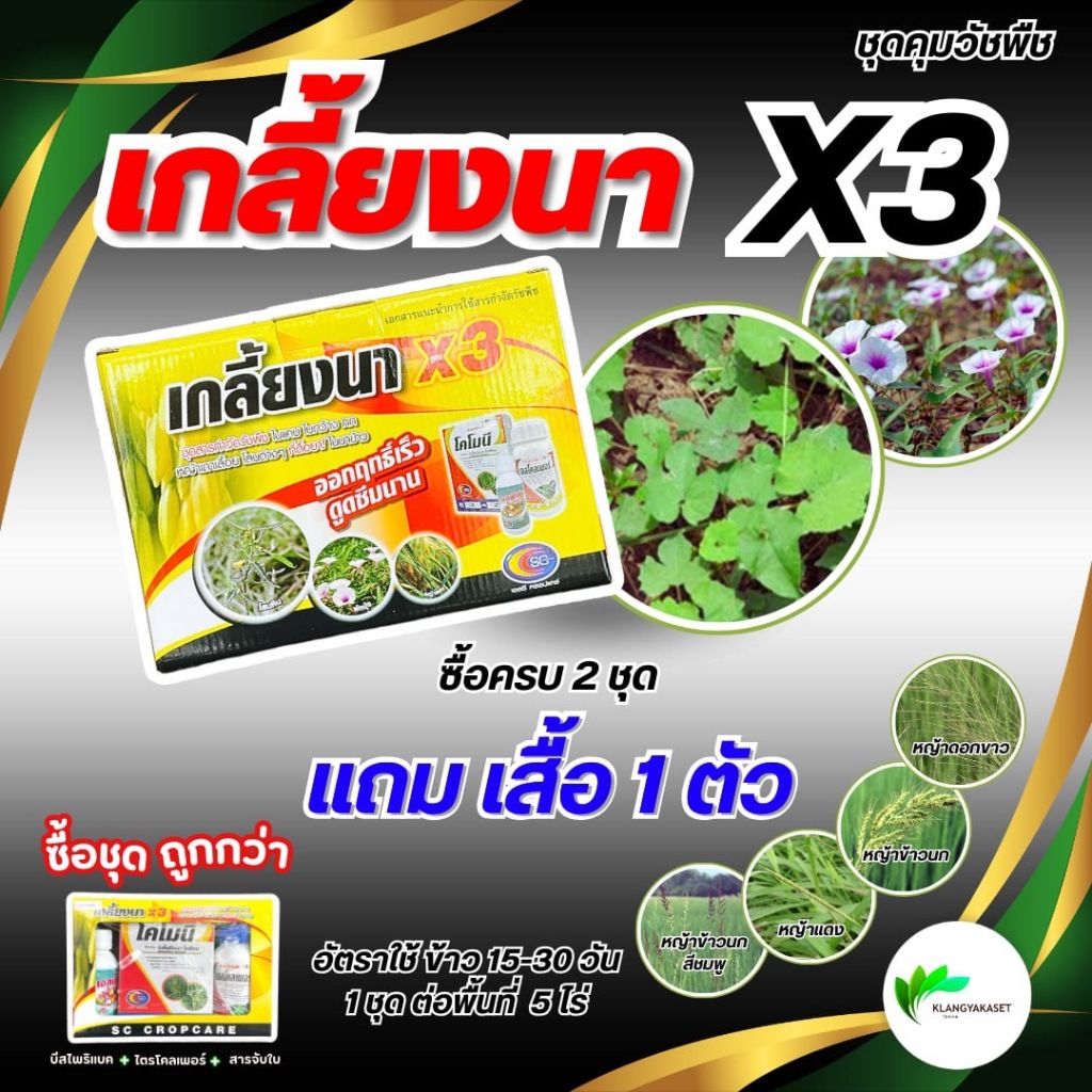 ยาเก็บหญ้า💥 เกลี้ยงนา X3 ข้าวอายุ 15-30 วัน 1 ชุดได้ 4-5ไร่กำจัดหญ้าใบแคบ ใบกว้างชุดนี้เก่ง โสน ไมยราบ ผักบุ้ง