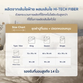 AMOUR - FLOWERY COLLECTION 460 Series (*สินค้าแยกชิ้น-โปรดเลือกชนิดสินค้า) ผ้าปูที่นอน, ผ้านวมเย็บสำเร็จ