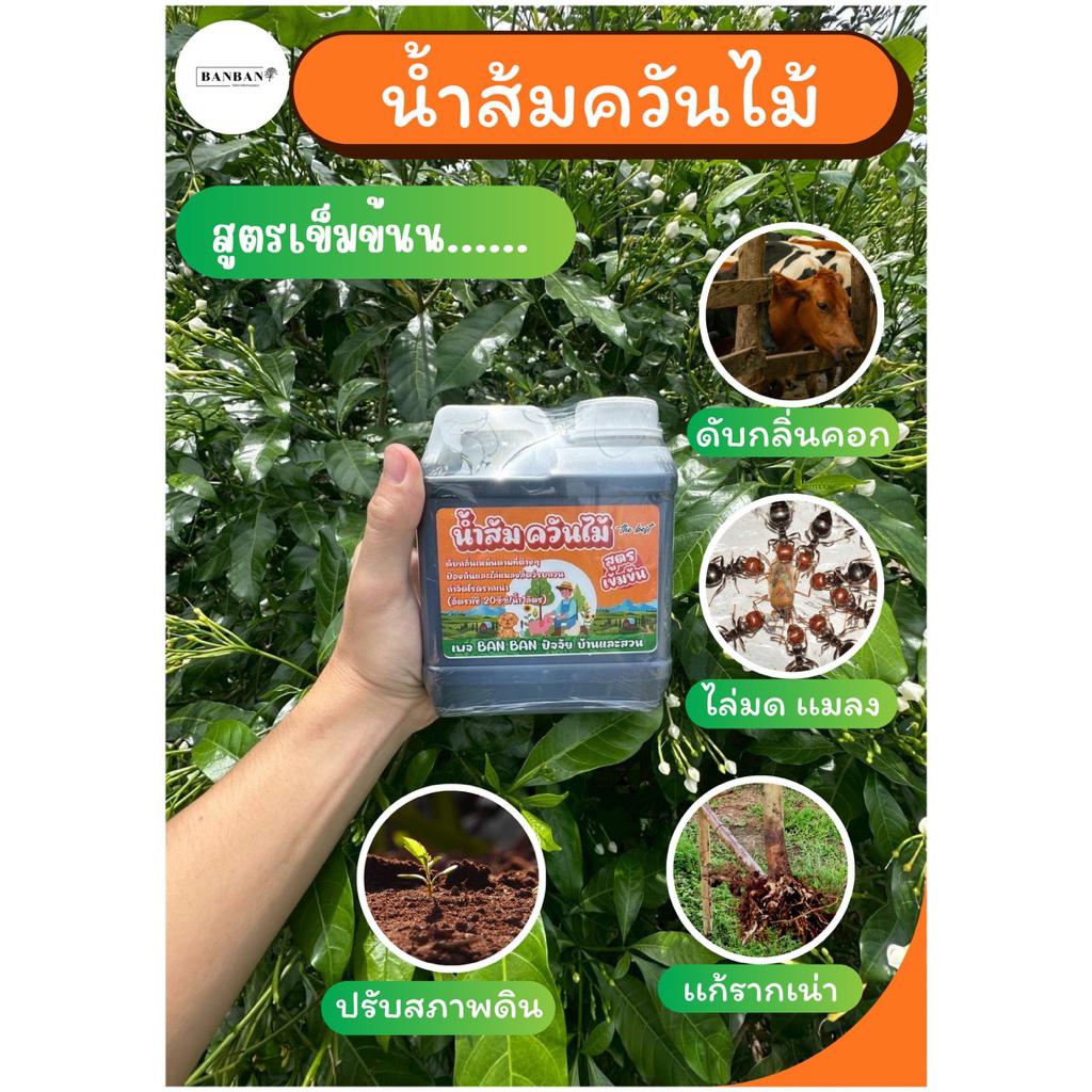 น้ำส้มควันไม้ สูตรเข้มข้น (ขนาด1ลิตร) น้ำยาไล่มดเเมลง น้ำยาดับกลิ่นคอก น้ำยาเเก้รากเน่า น้ำยาปรับสภาพดิน