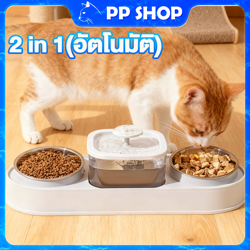 ชามอาหารแมว น้ำพุแมว ที่ให้อาหาร และน้ำสำหรับสุนัข cat food bowl ชามแมว ถ้วยอาหารแมว ชาม ข้าว หมา