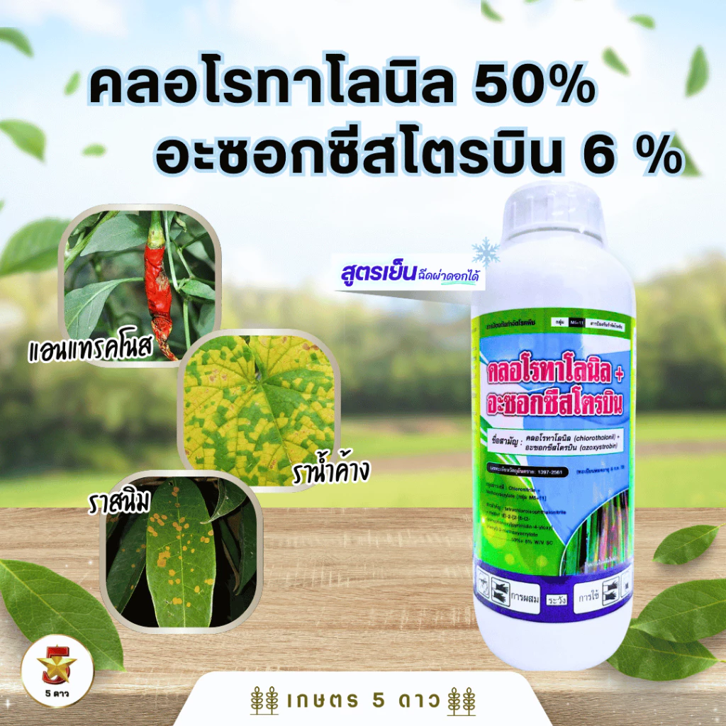 คลอโรทาโลนิล 50%+อะซอกซีสโตรบิน 6% ขนาด 1 ลิตร ป้องกันกำจัดเชื้อรา โรคแอนแทรคโนส ราน้ำค้าง ราสนิม