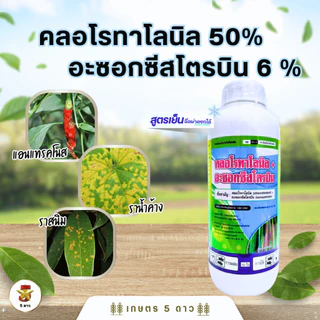 คลอโรทาโลนิล 50%+อะซอกซีสโตรบิน 6% ขนาด 1 ลิตร ป้องกันกำจัดเชื้อรา โรคแอนแทรคโนส ราน้ำค้าง ราสนิม