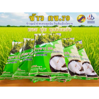 ข้าวสาร กข 79 บรรจุ 5 กิโลกรัม ข้าวลุ่มน้ำลำตะคองสูงเนิน
