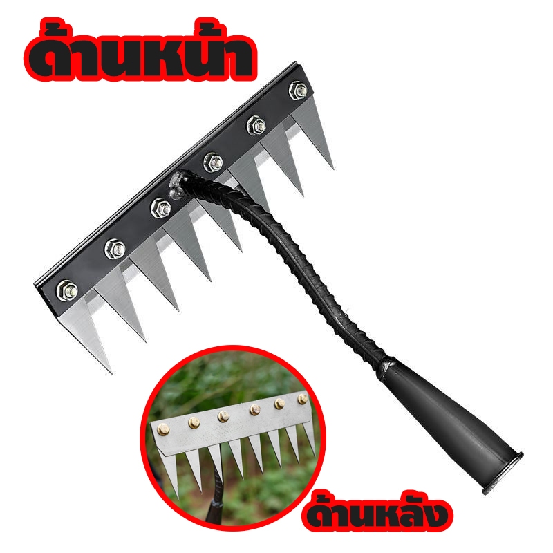 Thumbnail 9