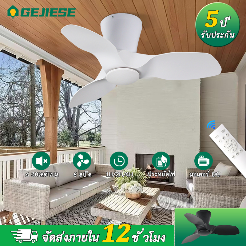 GEJIESE 24นิ้ว พัดลมเพดาน ด้วยแสง/ไม่มีแสง 6 ความเร็ว สีดำ/สีขาว พัดลมโคมไฟ ด้วยการควบคุมระยะไกล