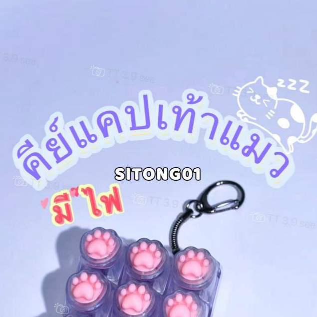 รูปภาพ 7