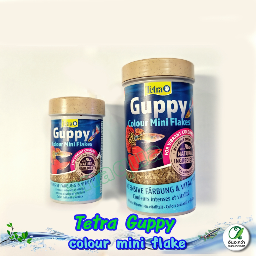 Tetra Guppy Colour Mini Flakes อาหารปลานกยูง เร่งสี ชนิดแผ่น สูตรใหม่