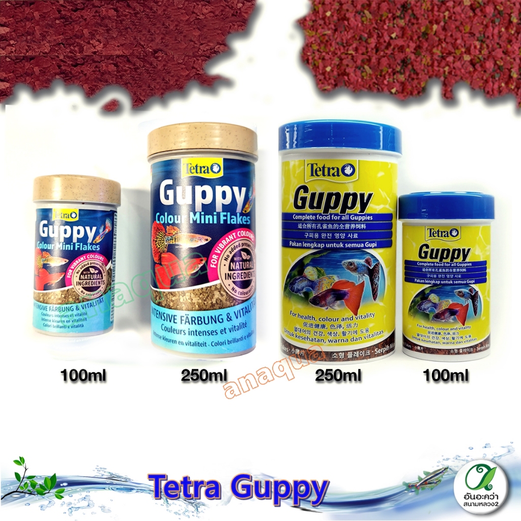 Tetra Guppy (100ml/250ml.) อาหารชนิดแผ่น สำหรับปลาหางนกยูง ปลาคิลลี่