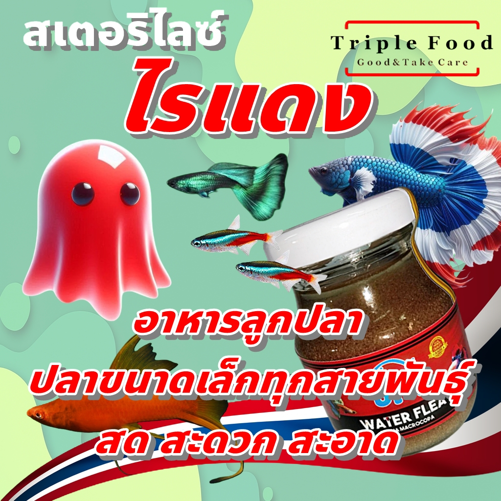 อาหารปลา ไรแดง UHT อาหารลูกปลา ปลากัด ปลาหางนกยูง ปลาสวยงาม ไรแดงสด ไลแดง ยังมี อาร์ทีเมีย ลูกน้ำ ไร