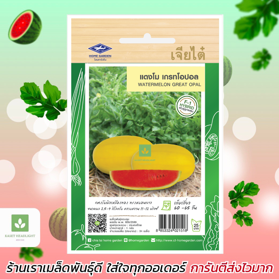 ใหม่! แตงโมเกรทโอปอล แตงโมผิวเหลืองทอง ทรงหมอน 34เมล็ด เมล็ดพันธุ์แตงโม เจียไต๋