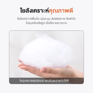 DUDEE โซฟาญี่ปุ่นเบาะหนัง ปรับเอนได้มากสุดถึง 6 ระดับไม่ต้องพิงผนัง