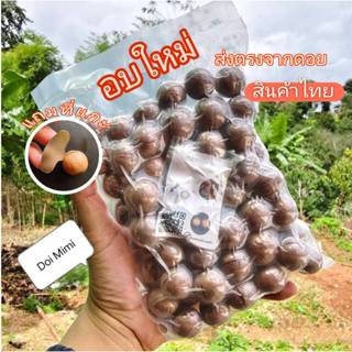 แมคคาเดเมีย ไทยแท้ อบพร้อมทาน macadamia อย่างดี กะลา