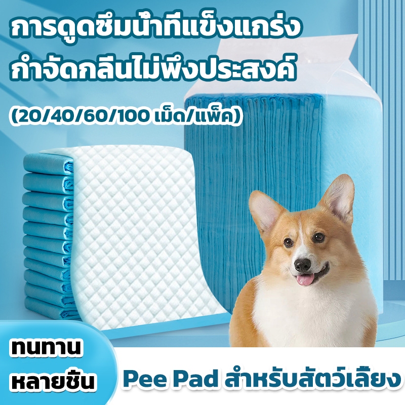 แผ่นรองฉี่ แผ่นรองฉี่สุนัข ช่วยฝึกขับถ่าย ซึมซับได้ดี ต่อต้านแบคทีเรีย กักเก็บกลิ่น  แผ่นรองฉี่แมว แผ่นรองฉี่สุนัข