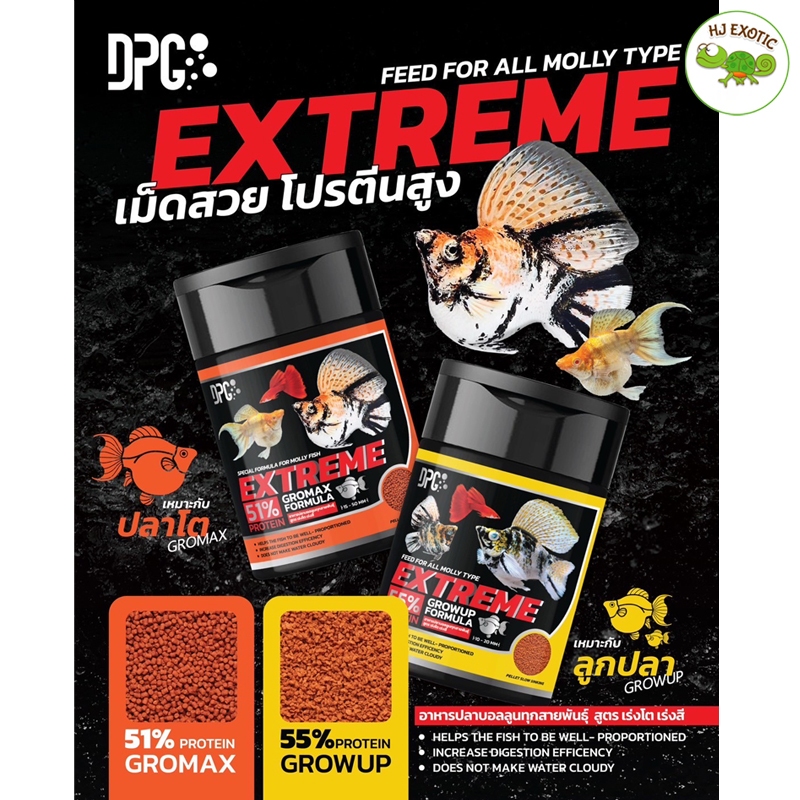 DPG Extream อาหารปลาบอลลูน สูตรเร่งสี เร่งโต เหมาะกับปลาบอลลูนทุกสายพันธ์