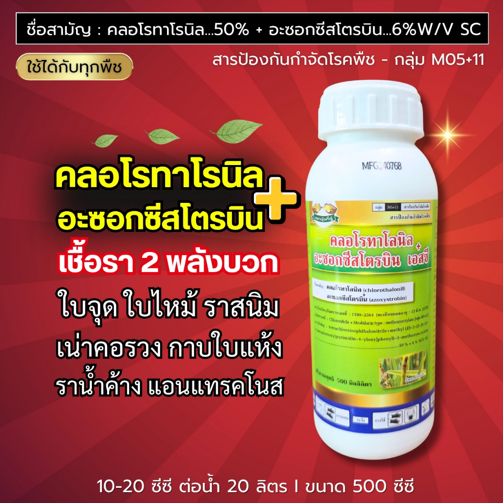 คลอโรทาโรนิล + อะซอกซีสโตรบิน (2พลังบวก+) ใบจุด ใบไหม้ ราสนิม เน่าคอรวง กาบใบแห้ง ราน้ำค้าง แอนแทรคโนส 500 ซีซี (ขวดขาว)
