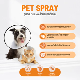 Goodboss Spray สเปรย์สำหรับสัตว์เลี้ยง เชื้อรา ยีสต์ ลดคัน เกา ขนร่วง สมานเเผล สูตรออแกนิค
