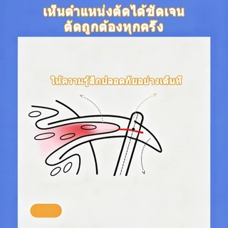 กรรไกรตัดเล็บ แมว กรรไกรตัดเล็บสุนัข ที่ตัดเล็บแมว สุนัขเล็ก ใช้ง่ายแม้มือใหม่ ใบมีดสแตนเลสทนทาน ใช้งานง่าย กรรไกรตัด