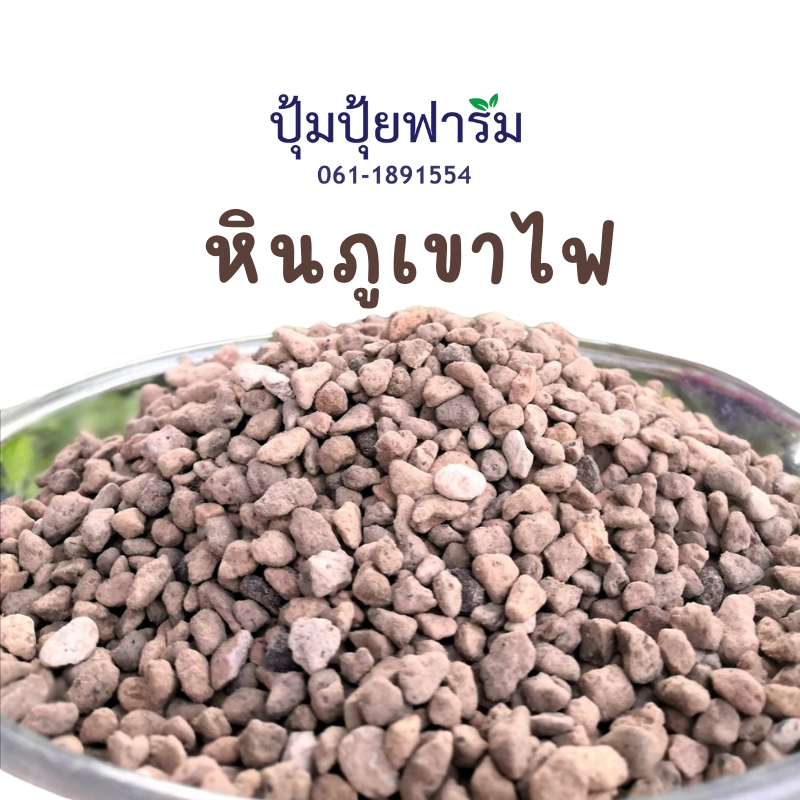 หินภูเขาไฟ(Pumice Stone) Lombok Stone วัสดุผสมดินปลูก เพิ่มความโปร่ง ร่วน เบา มีรูพรุน ช่วยการระบายน้ำ