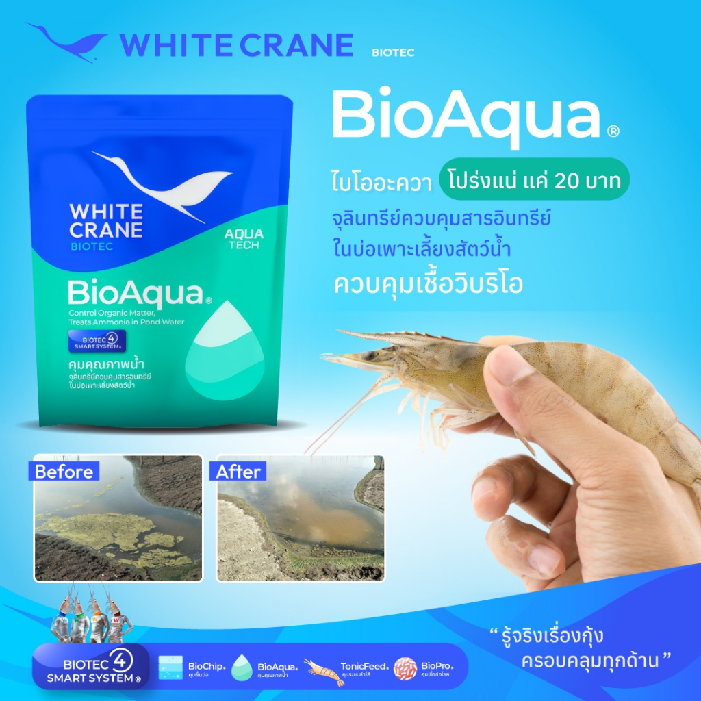 BioAqua - ไบโออะควา จุลินทรีย์แก้น้ำเขียว แพลงก์ตอนบลูม ช่วยควบคุม pH ในน้ำ ขนาด 100 กรัม