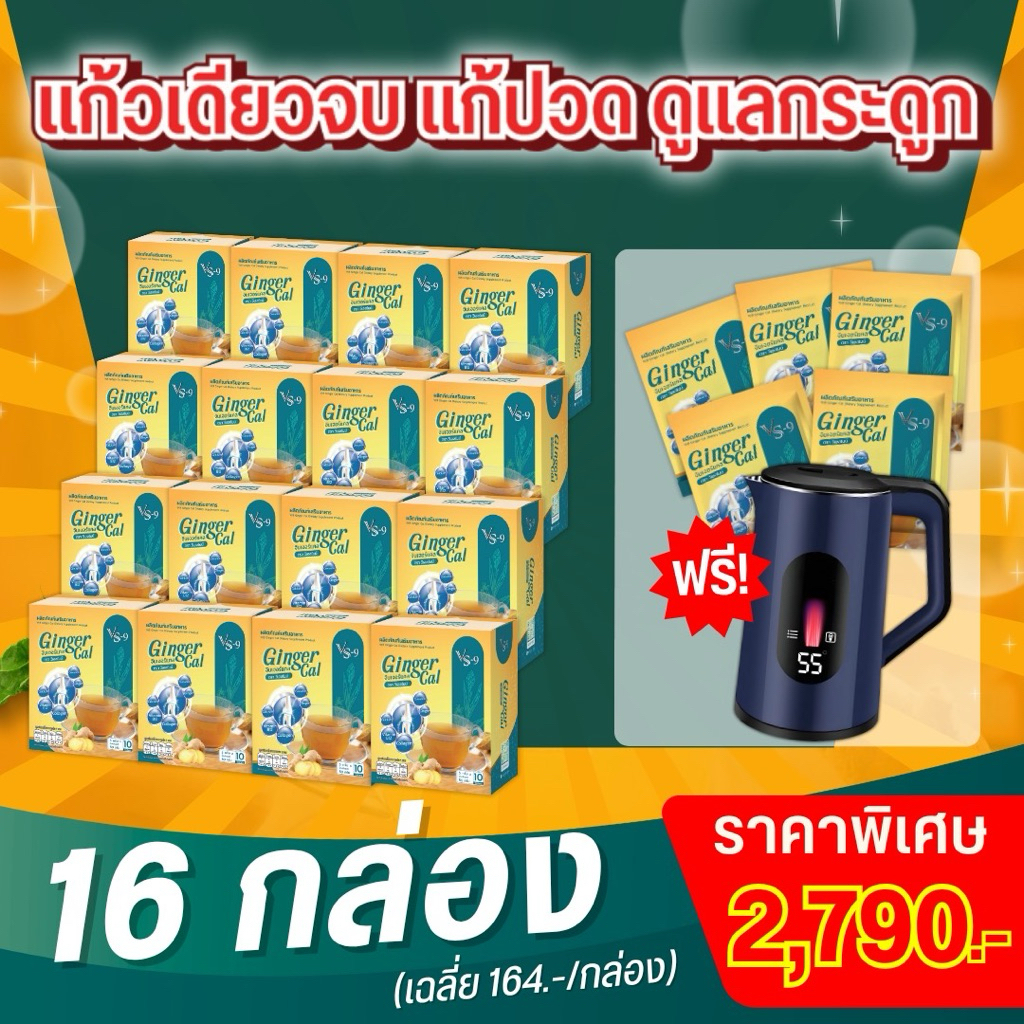 VS9 GingerCal คอลลาเจนสูตรขิงและขมิ้นชัน 16 กล่อง+กาน้ำร้อน