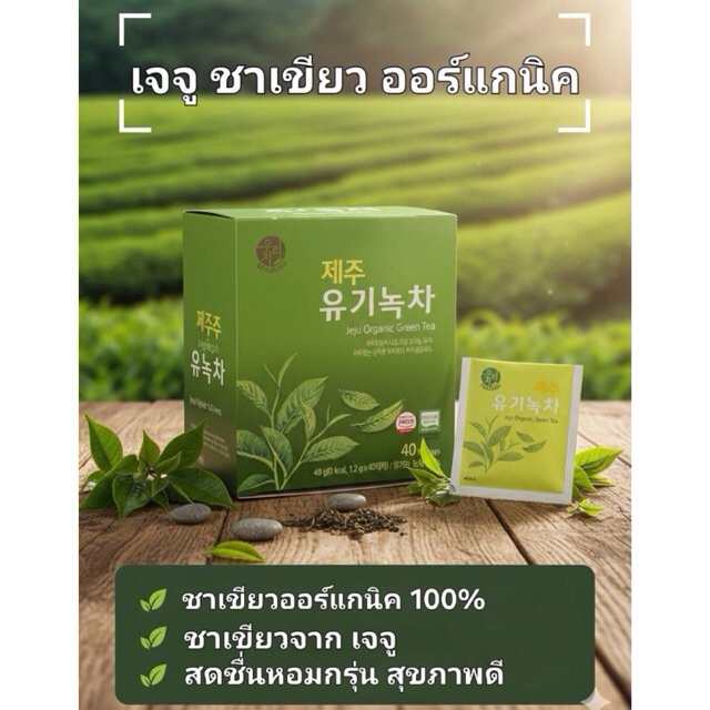 Songwon Organic green tea ชาเขียว พรีเมียมออแกนิก จากเกาะเจจู เกาหลี