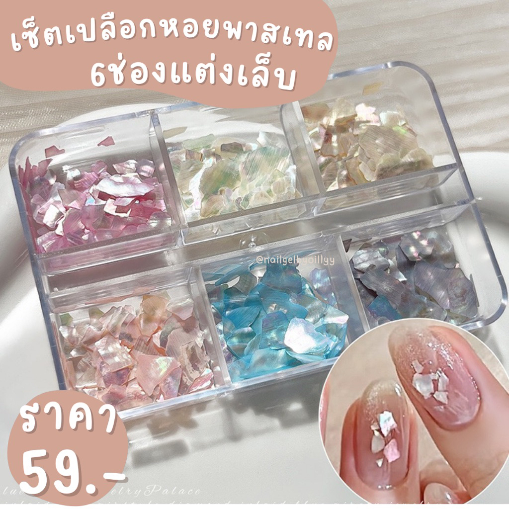 เซ็ตเปลือกหอยพาสเทลแต่งเล็บ6ช่อง💙พร้อมส่ง💙เซ็ตเปลือกหอยแต่งเล็บ เปลือกหอยแต่งเล็บสีพาสเทล