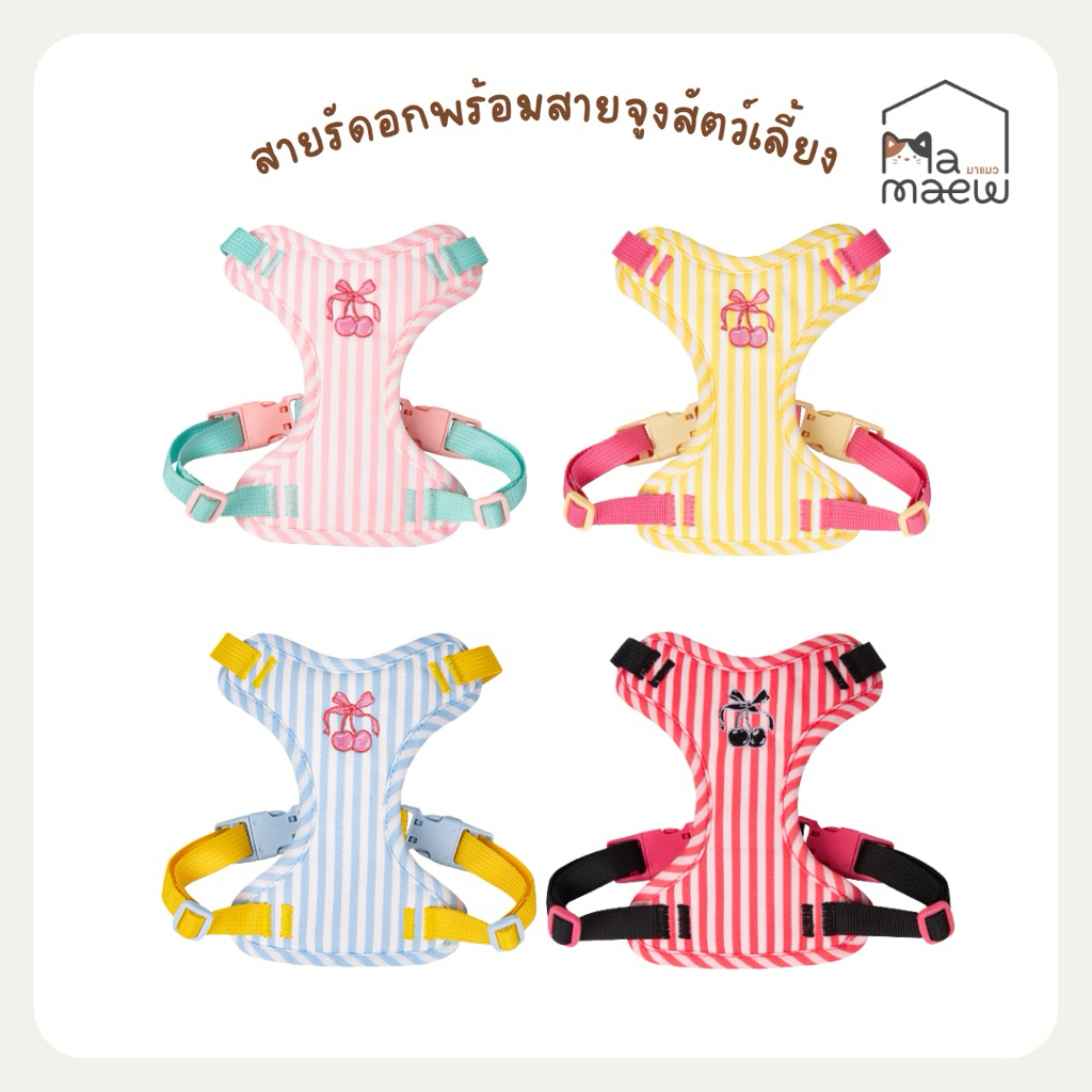 สายรัดอก สายจูงสัตว์เลี้ยง 4 แบบ: ปลอดภัย สบาย ทั้งหมาแมว รีวิวเลือกซื้อ