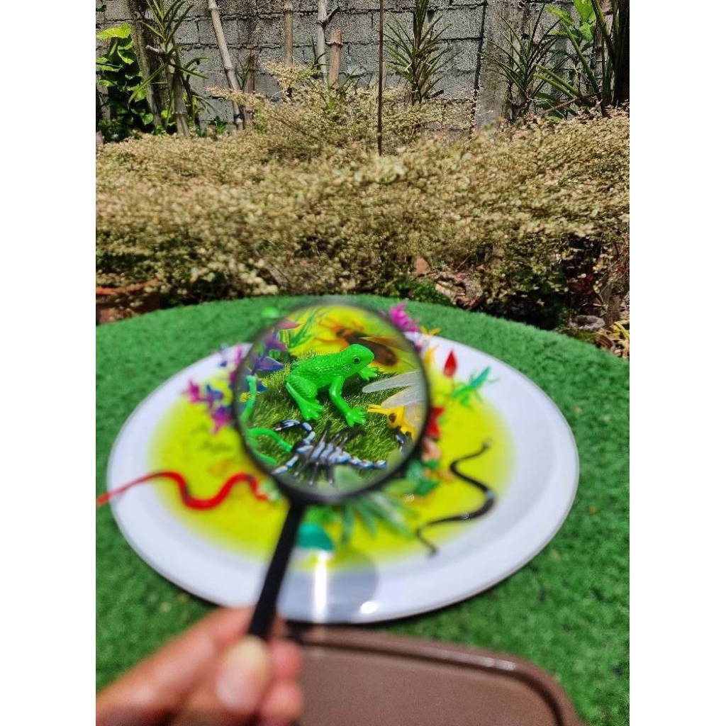 Magnifying glass for kids แว่นขยายเพื่อการเรียนรู้สำหรับเด็กแนวmontessori แว่นขยายพกพา sensory play ราคา ถูกที่สุด ดีลบีเคเค แกลเลอรีภาพที่ 9