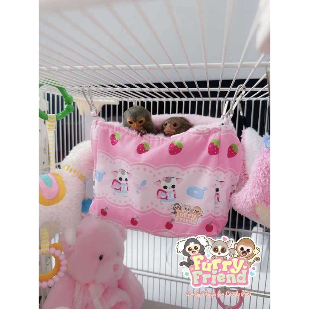 บ้านนอนสัตว์เล็ก Little Box สำหรับชูการ์ไกรเดอร์ กระรอก บุชเบบี้ แฮมเตอร์ ปิ๊กมี่ มาโมเสท