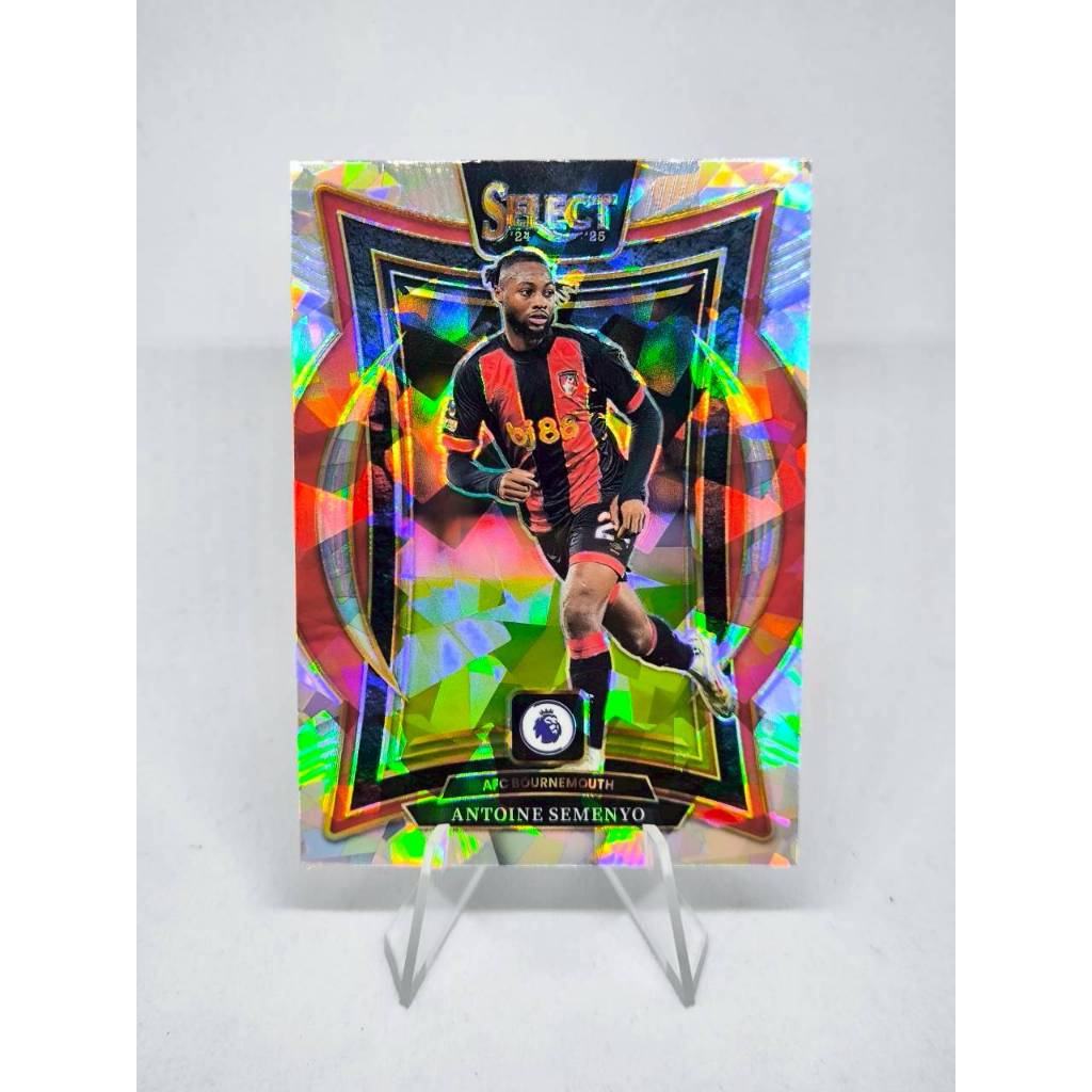 การ์ดบอล Panini Select Premier League  Bournemouth ราคา ถูกที่สุด ดีลบีเคเค แกลเลอรีภาพที่ 2