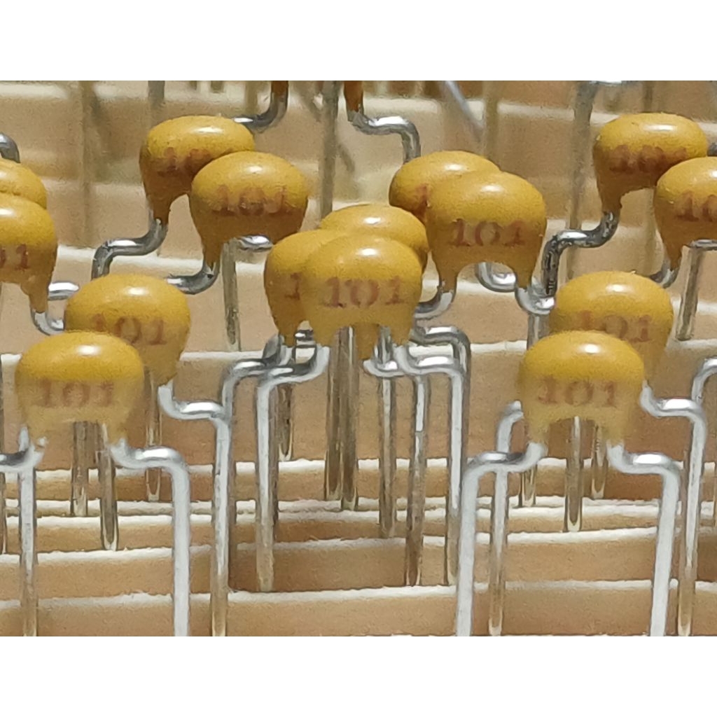 (ราคา4ตัว) 100pf 101 200v multilayer ceramic capacitor ตัวเก็บประจุ ชนิด มัลติเลเยอร์ เซรามิก