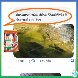 ใหม่‼️อาหารปลาสวยงาม ปลาทอง ปลาคาร์ฟ บูสท์ (Boost 5in1) 5 คุณประโยชน์ ครบจบในถุงเดียว ขนาด 800 กรัม