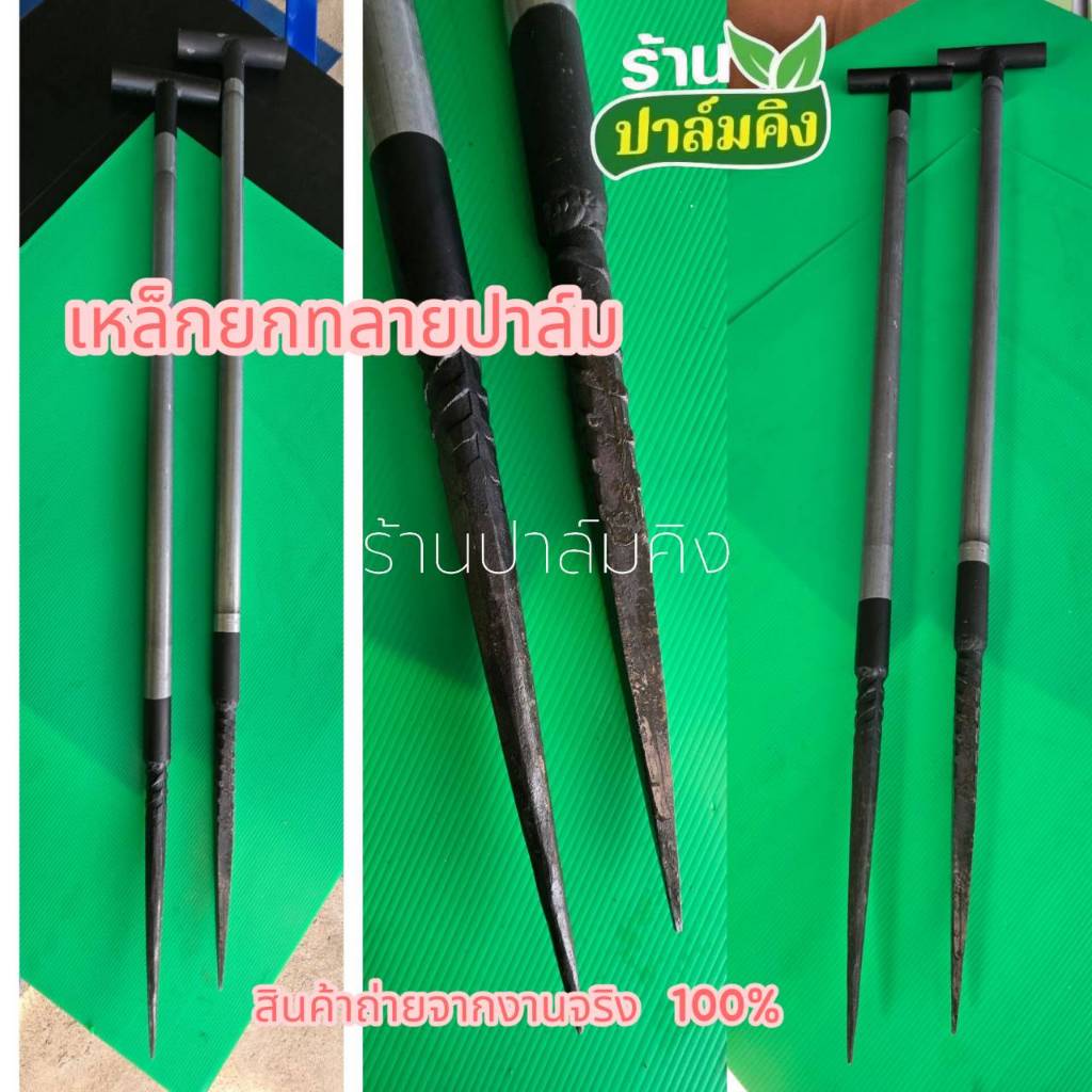 เหล็กยกทลายปาล์มขึ้นลง