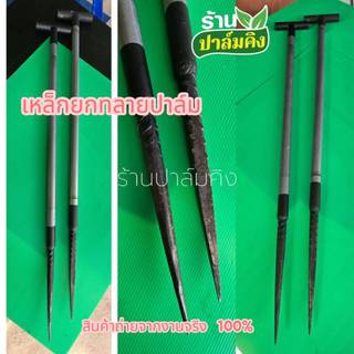 เหล็กยกทลายปาล์มขึ้นลง