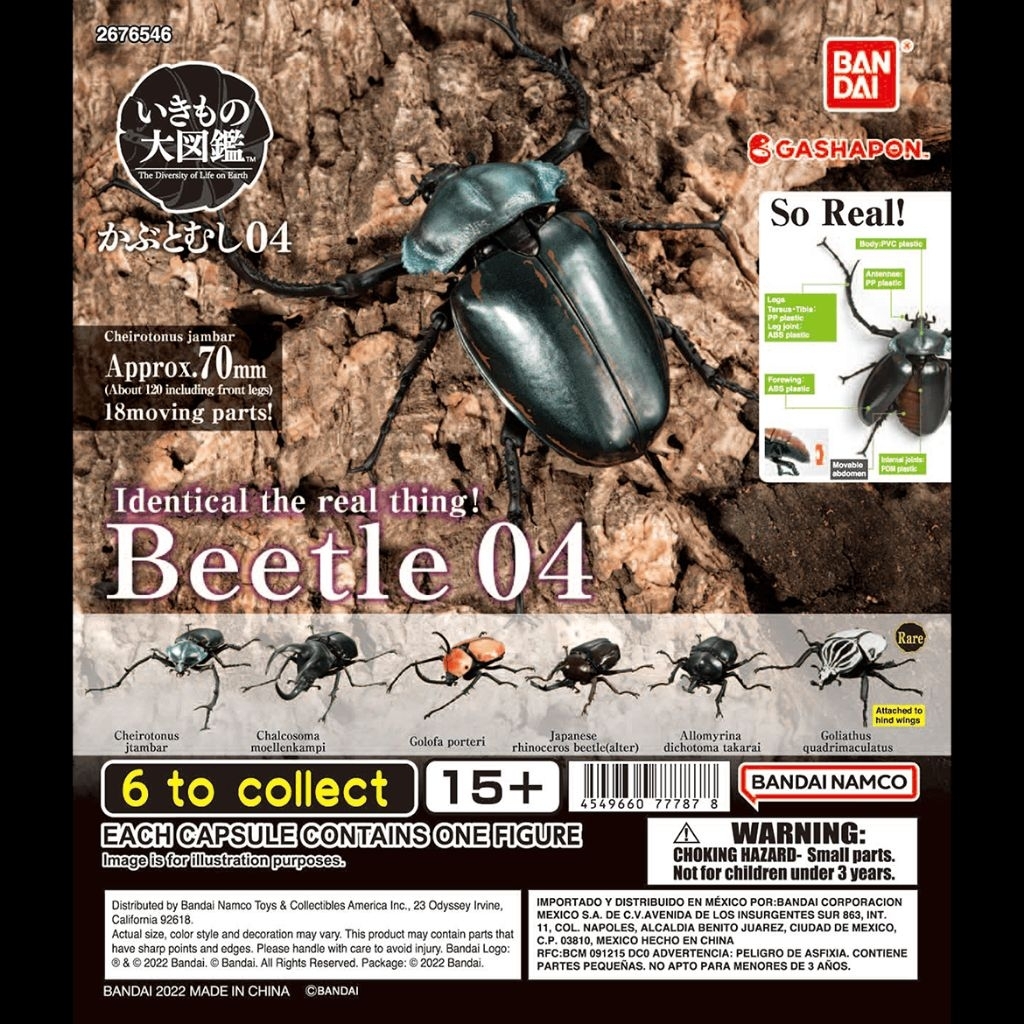 BANDAI Gashapon The Diversity of Life on Earth Beetle vol.04 [JFT7]