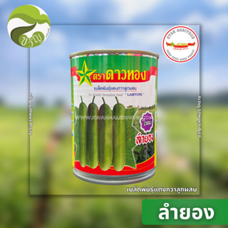 เมล็ดพันธุ์ แตงกวา ลูกผสม แตงกวา ลำยอง ตราดาวทอง ล็อตใหม่