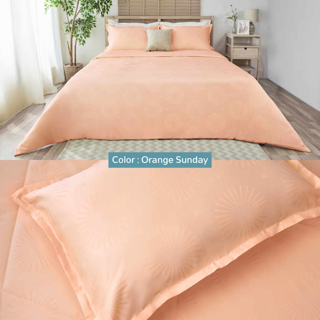 JUBILY- Holiday Delight COLLECTION 460 Series (*สินค้าแยกชิ้น-โปรดเลือกชนิดสินค้า) ผ้าปูที่นอน, ผ้านวมเย็บสำเร็จ - รูปที่ 4