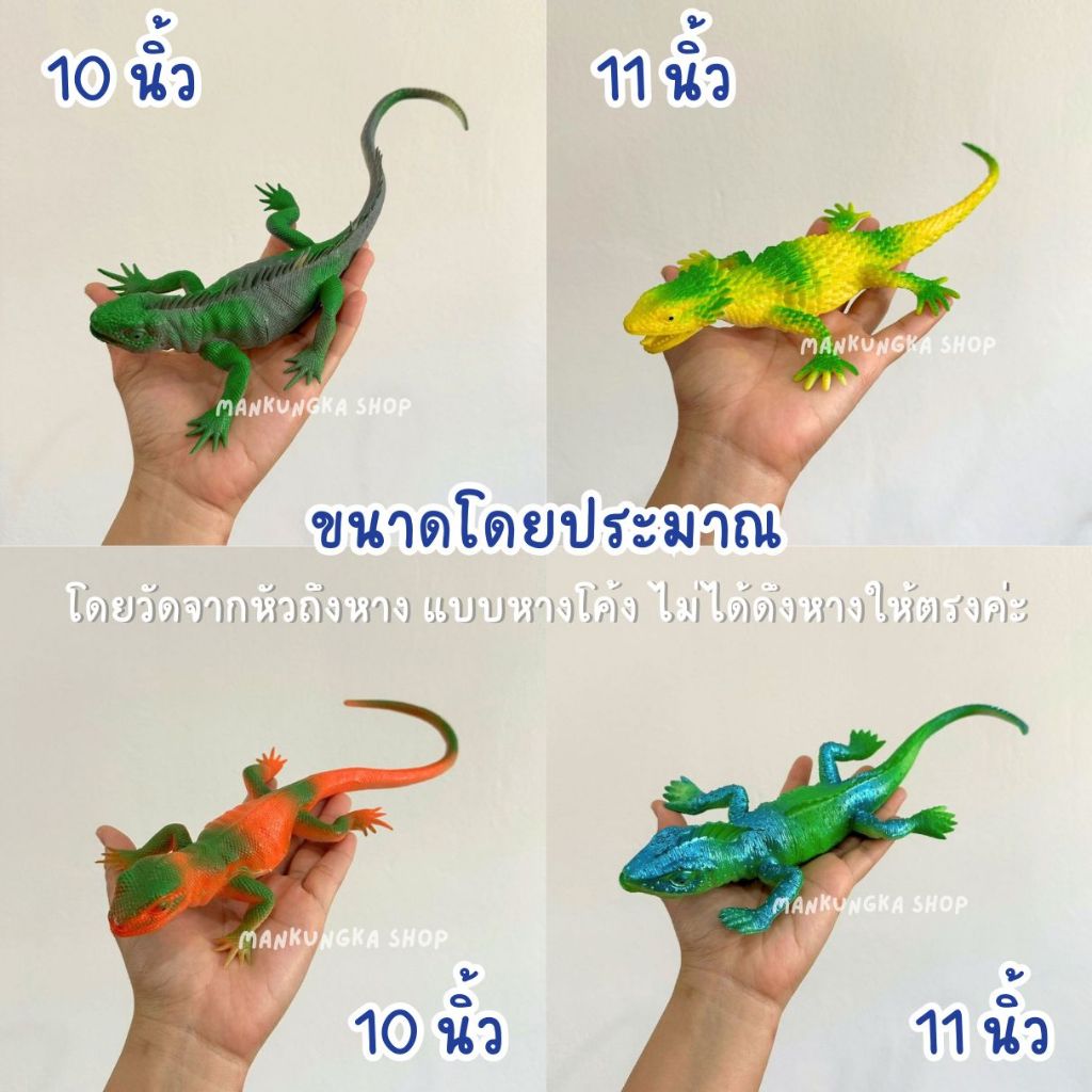 (ขนาดหัว-หาง 8-9 นิ้ว) กิ้งก่า สัตว์เลื้อยคลาน สัตว์ปลอม ของเล่นปลอม ของเล่นแกล้งคน ของเล่นเด็ก - รูปที่ 2