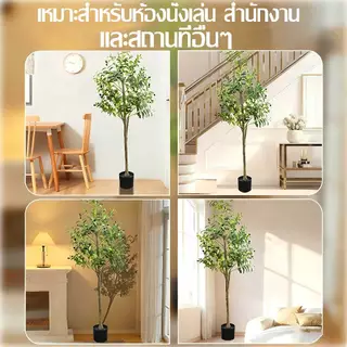 【สั่งแล้วฟรีกระถางดอกไม้】ต้นโอลีฟ ต้นมะกอกปลอม 120/150/180cm สไตล์นอร์ดิกอิน ลำต้นสีน้ำตาลเหมือนของจริง ต้นไม้ปลอมใหญ่