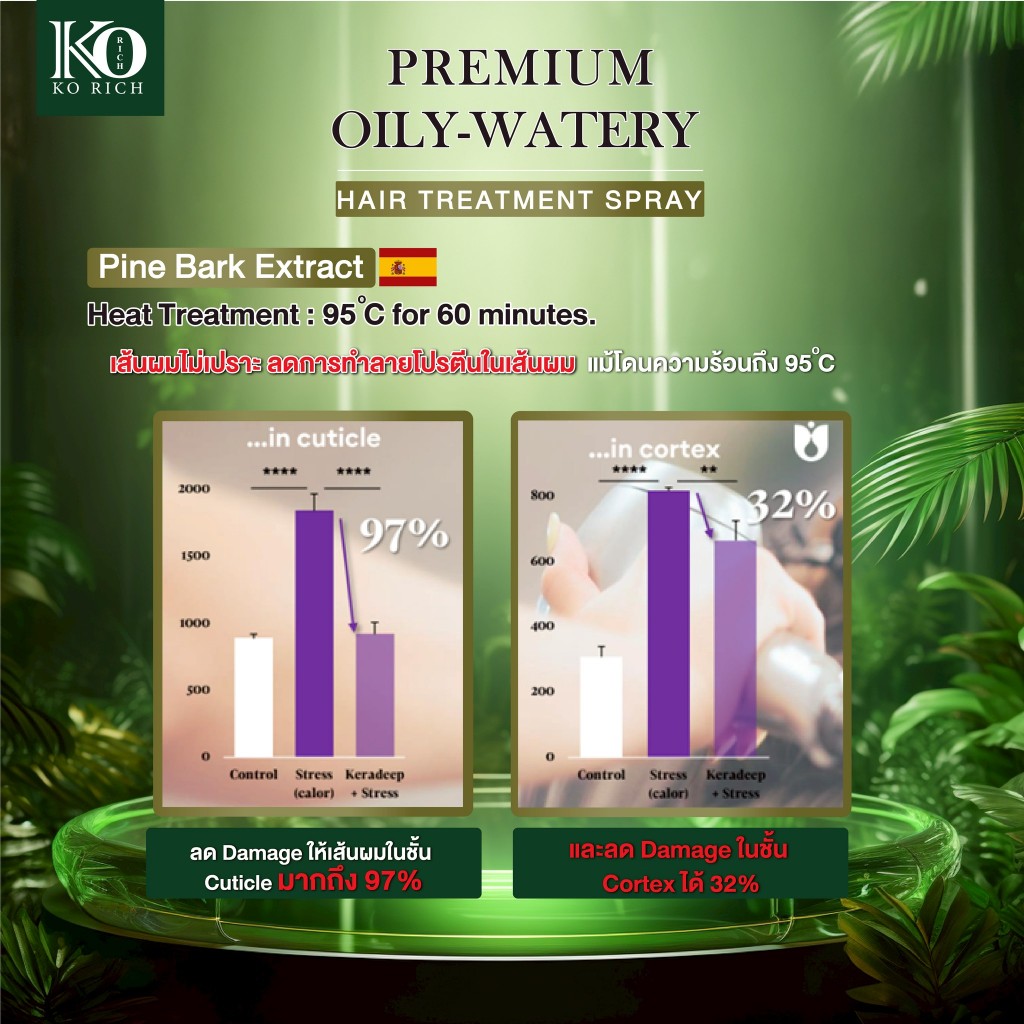 รูปภาพ 4