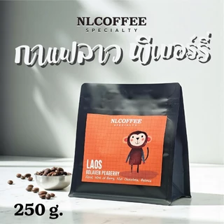 NLCOFFEE เมล็ดกาแฟ Laos - Bolaven Peaberry
