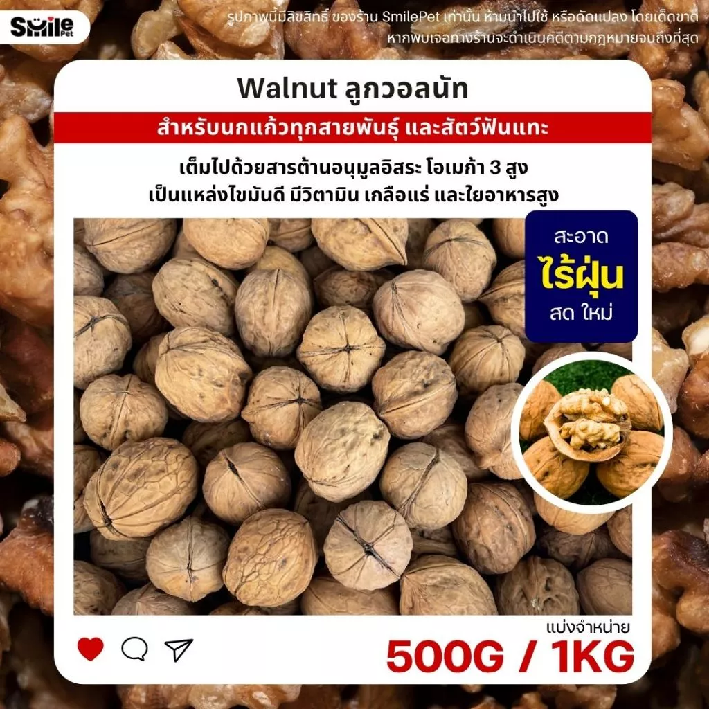 วอลนัท Walnut สำหรับนกแก้ว หนูแฮมสเตอร์ กระรอก แพรี่ด็อก และสัตว์ฟันแทะ (แบ่งขาย 500G / 1KG)