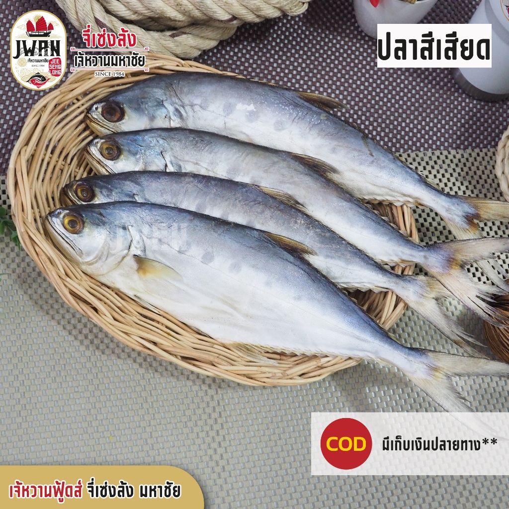ปลาสีเสียด ปลาสีเสียดแดดเดียว 1กิโลกรัม ปลาเสียดเค็ม ปลาสละ ปลาขี้เสียด