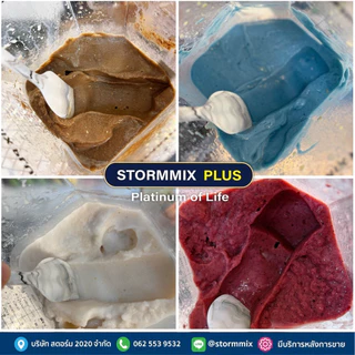ของเเท้ โฉมใหม่เครื่องปั่นสมูทตี้ความเร็วรอบสูง เครื่องปั่นผลไม้ STORMMIX 1.6 L รับประกันศูนย์(A09)