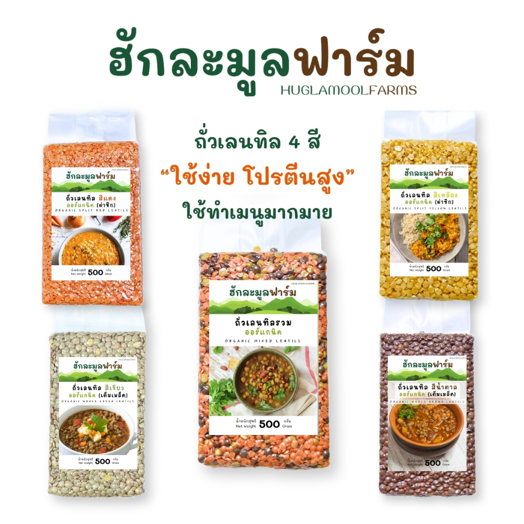 ถั่วเลนทิล ออร์แกนิค 4สี 500กรัม ตราฮักละมูลฟาร์ม Organic lentils เลนทิว เรดเลนทิล เลนทิล