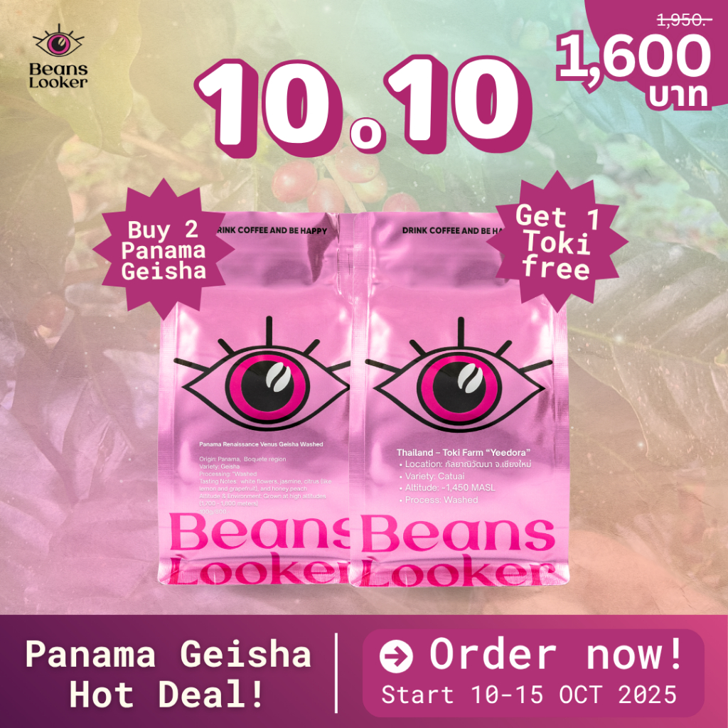 [10.10 Hot Deal] Panama Renaissance Venus Geisha