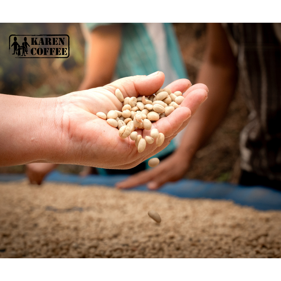 Green Arabica Coffee Beans (1 Kg)