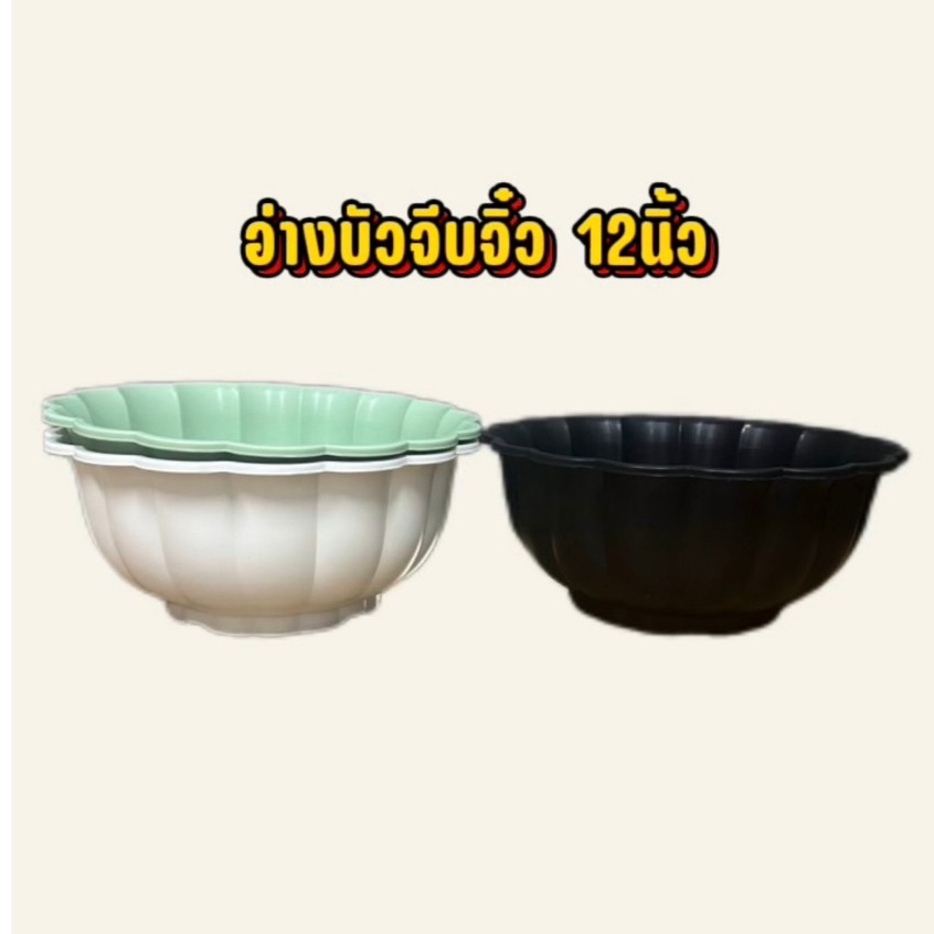 อ่างปากบัวจีบจิ๋ว 12นิ้ว มีหลายสีเลี้ยงปลาได้ปลูกบัวได้